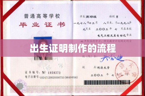 苓雅出生证明制作的流程