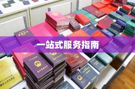 苓雅一站式服务指南
