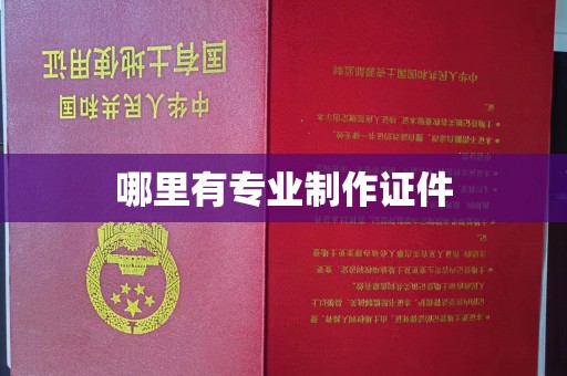 苓雅哪里有专业制作证件
