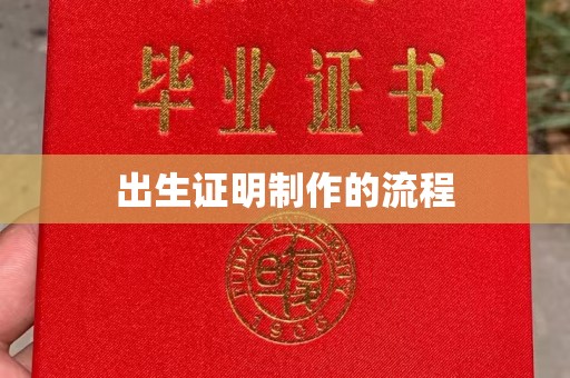 苓雅出生证明制作的流程