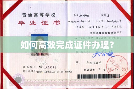 苓雅如何高效完成证件办理？