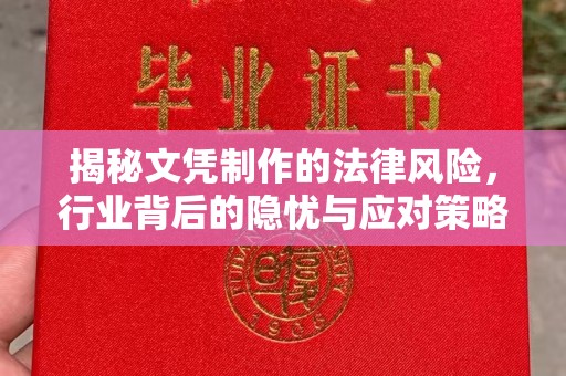 苓雅揭秘文凭制作的法律风险，行业背后的隐忧与应对策略