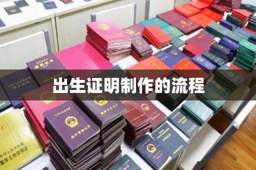 苓雅出生证明制作的流程