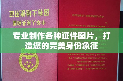 苓雅专业制作各种证件图片，打造您的完美身份象征