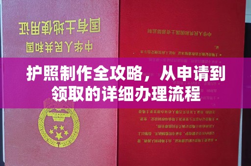 苓雅护照制作全攻略，从申请到领取的详细办理流程