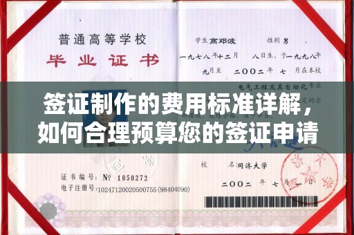 苓雅签证制作的费用标准详解，如何合理预算您的签证申请成本
