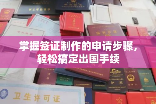 苓雅掌握签证制作的申请步骤，轻松搞定出国手续