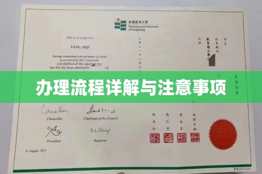 苓雅办理流程详解与注意事项